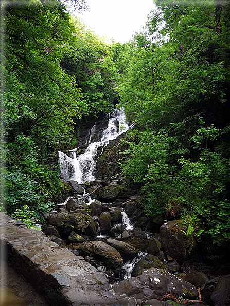 foto Parco di Killarney